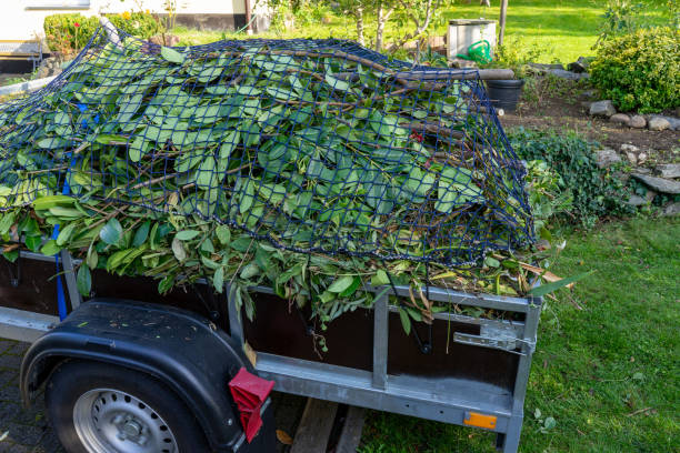 Best Recycling Services for Junk  in Carbondale, IL